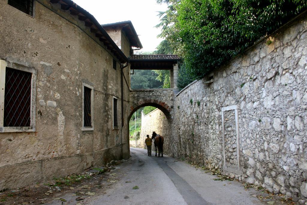 La Quiete Bed & Breakfast Brendola Kültér fotó